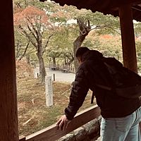 頭像