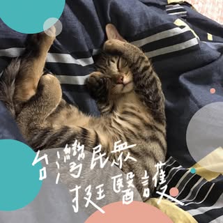 頭像