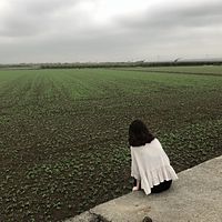 頭像
