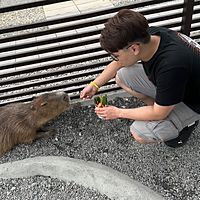 頭像