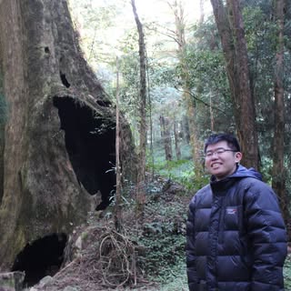頭像