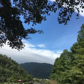 頭像