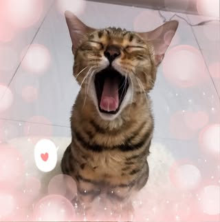 頭像