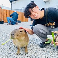 頭像