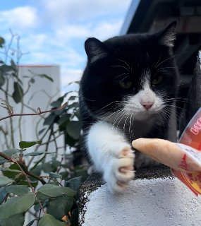 頭像