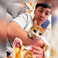頭像