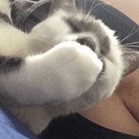 頭像