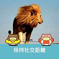 頭像