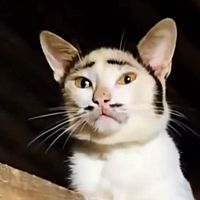 頭像