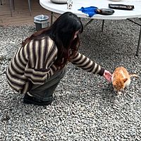 頭像