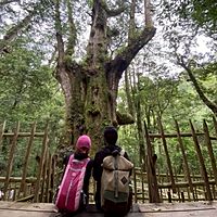 頭像