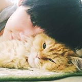 頭像