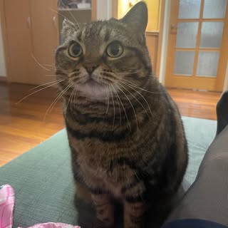 頭像