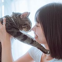 頭像