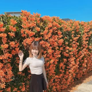 頭像