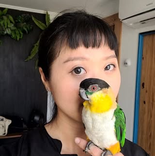 頭像