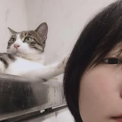 頭像
