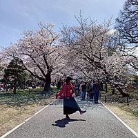 頭像