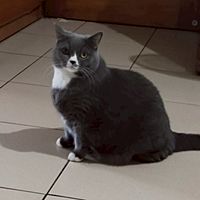 頭像