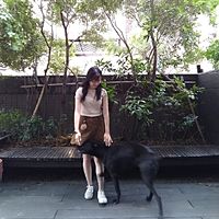 頭像