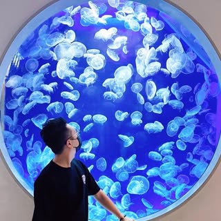 頭像