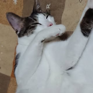 頭像