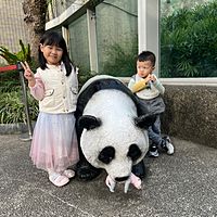 頭像