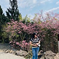 頭像