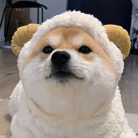 頭像