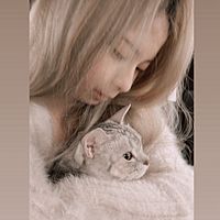 頭像
