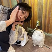 頭像