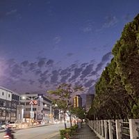 頭像