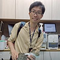 頭像