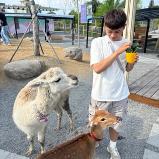 頭像