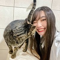 頭像