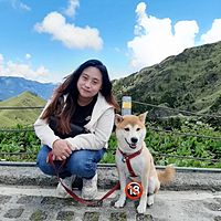 頭像