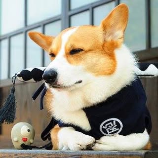 頭像