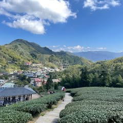 頭像