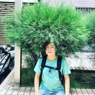 頭像