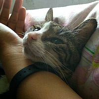 頭像