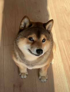 頭像