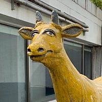 頭像