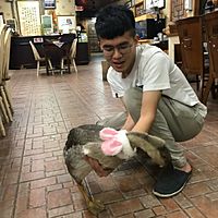 頭像