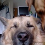 頭像