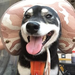 頭像