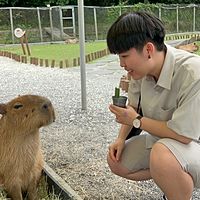 頭像