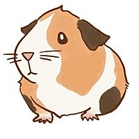 頭像