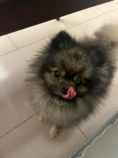 頭像