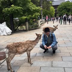 頭像