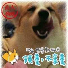 頭像